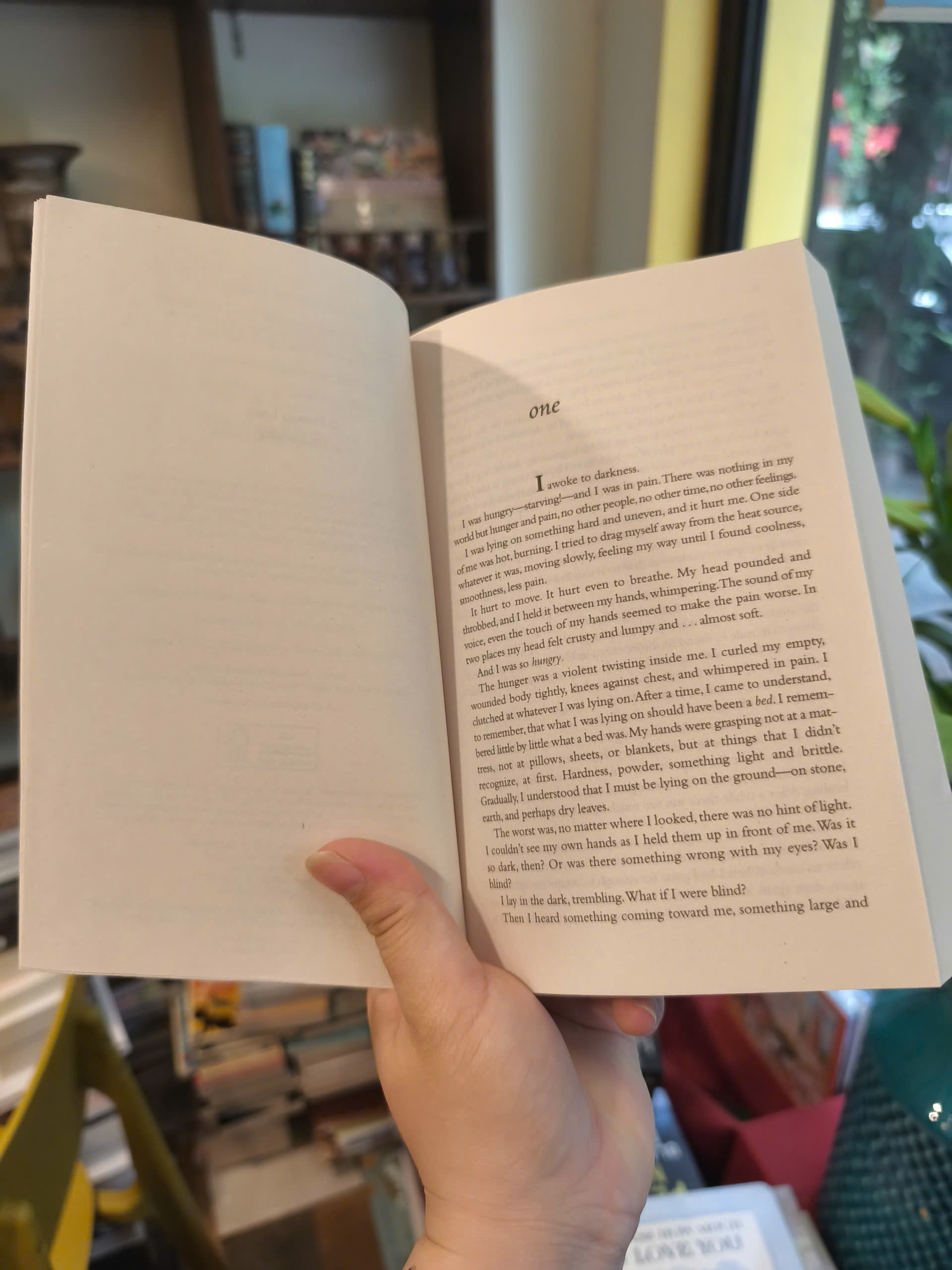 Sách - Fledgling by Octavia E. Butler | Fantasy / Horror Fiction / Ngoại văn Nhập khẩu UK