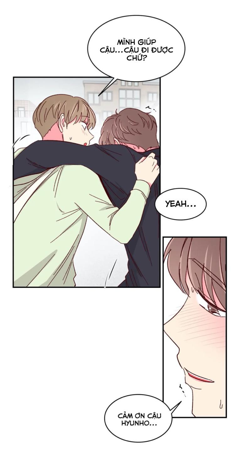 món tráng miệng của sếp tổng chapter 54 40