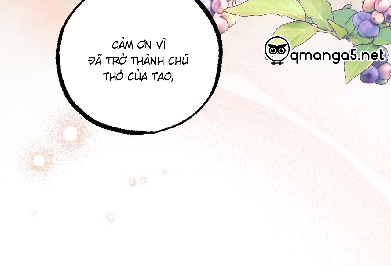 đàn thỏ của habibi chapter 65 205