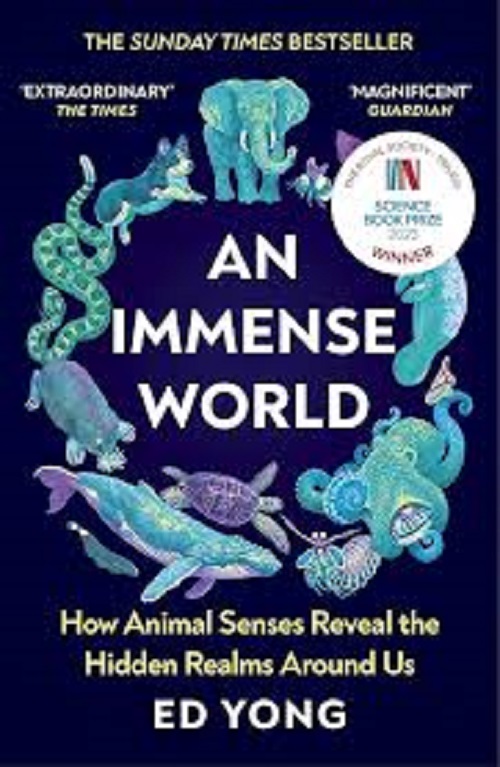 An Immense World