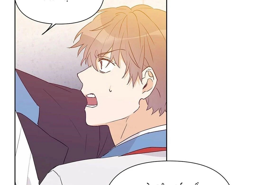 guide cấp b chapter 24 40