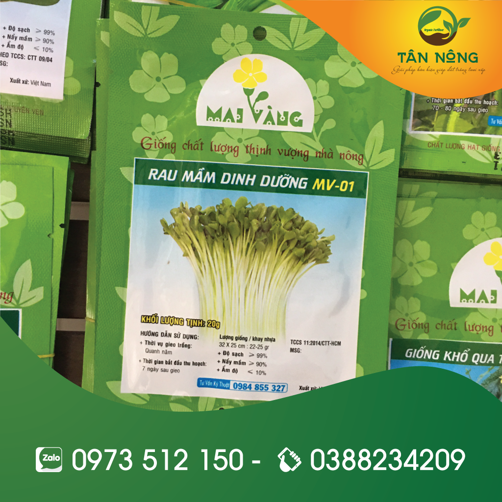 Hạt giống Rau mầm dinh dưỡng - 20g