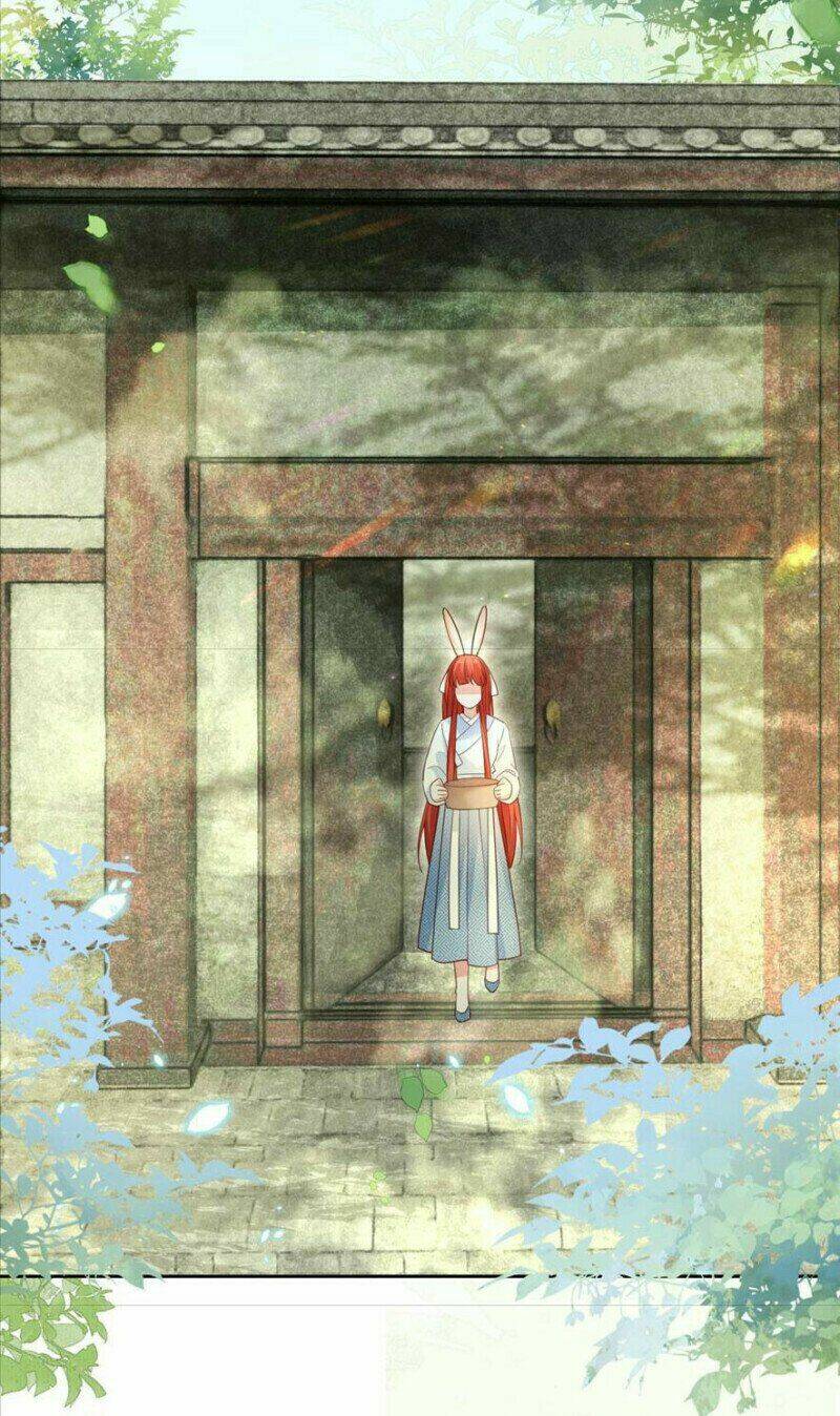 hắc hóa nam chính trực tuyến nuôi thỏ chapter 66 9