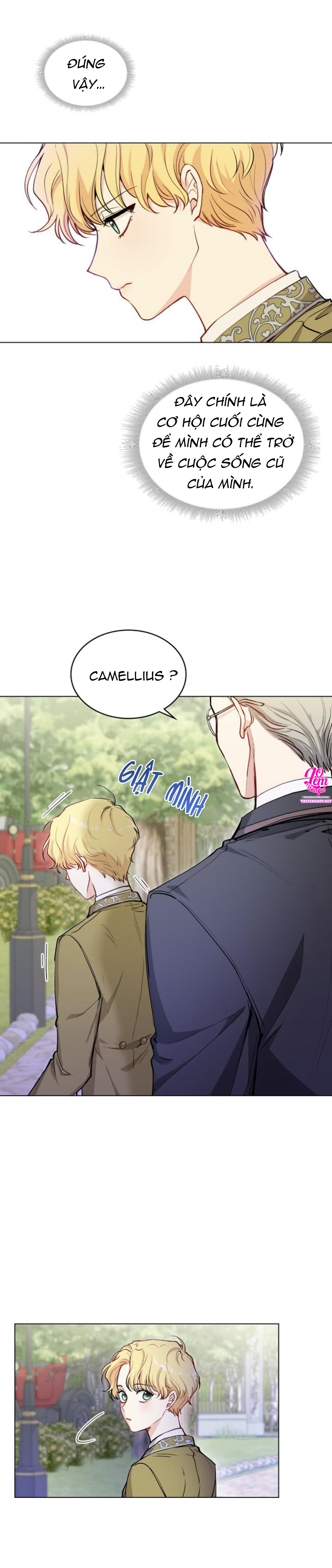 đi tìm nàng camellia chapter 11 3