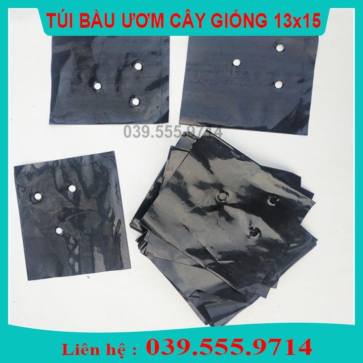 TÚI BẦU VUÔNG ƯƠM CÂY GIỐNG 1KG - CHẬU NHỰA DẺO