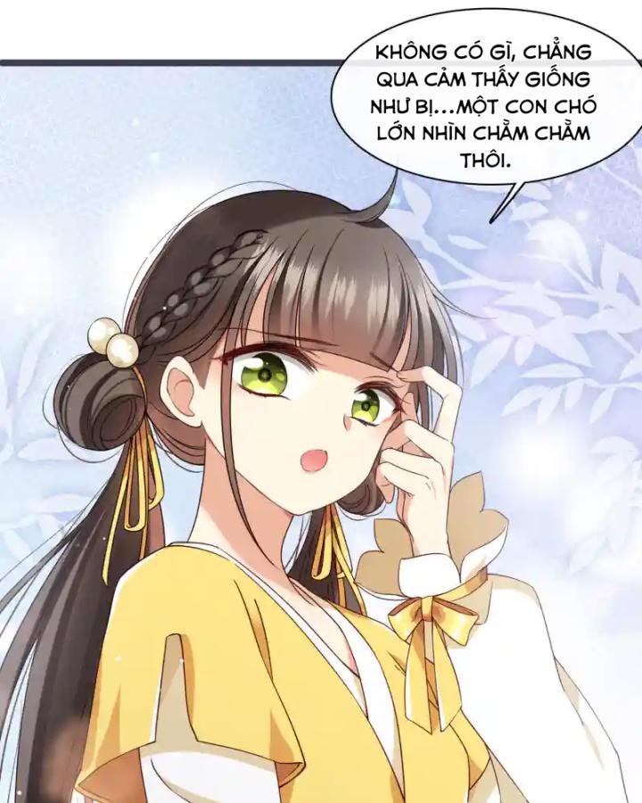 nụ cười của ngươi ngọt gãy tám cái răng của ta chapter 96 70