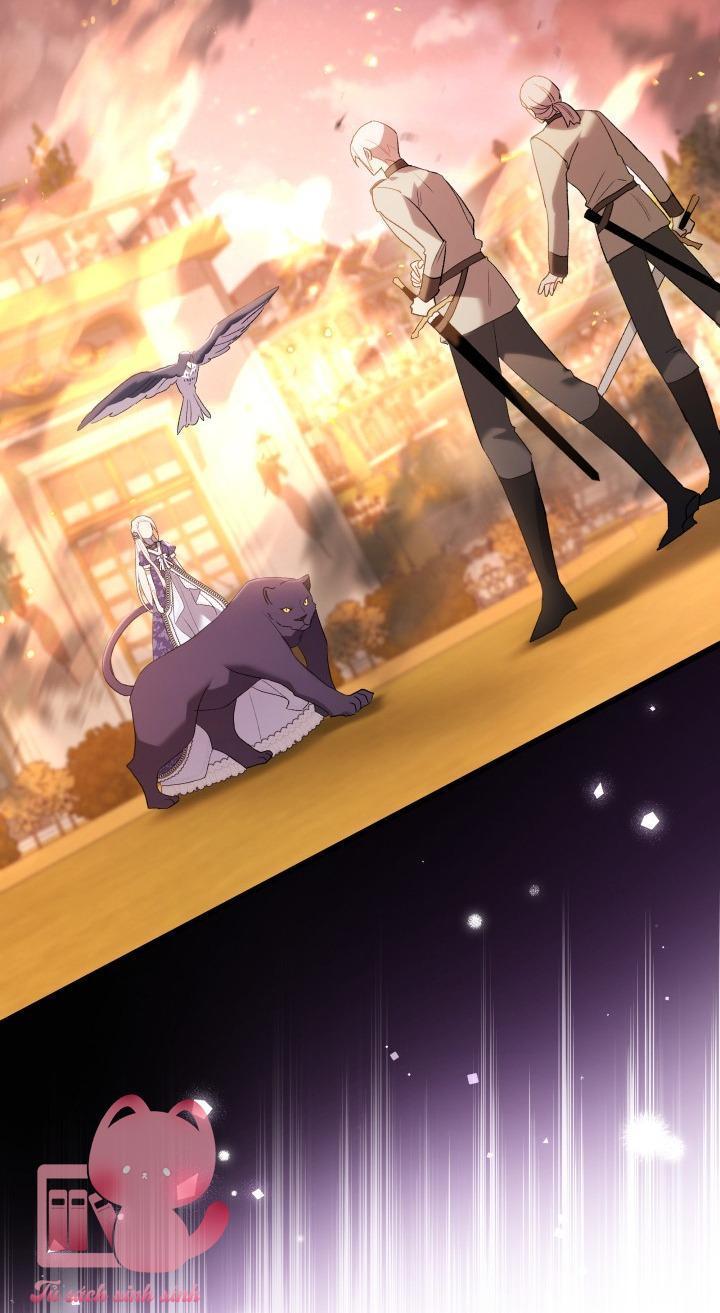 quan hệ cộng sinh giữa báo đen và thỏ trắng chapter 68 36