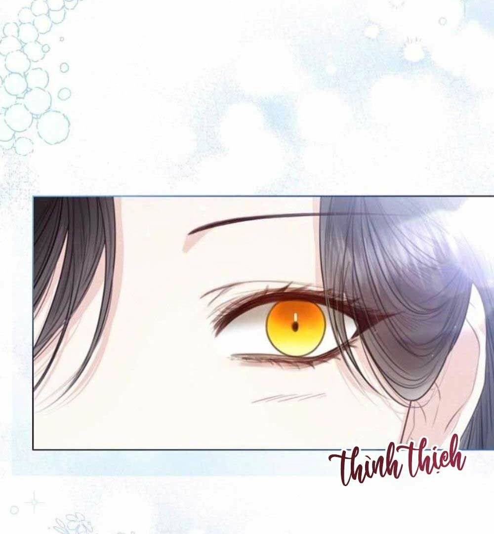 tôi sẽ từ bỏ vị trí hoàng hậu chapter 29 40