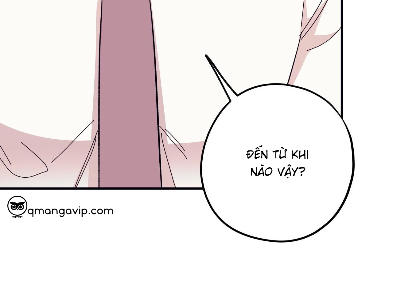 chàng dâu nhà họ kang chapter 44 6