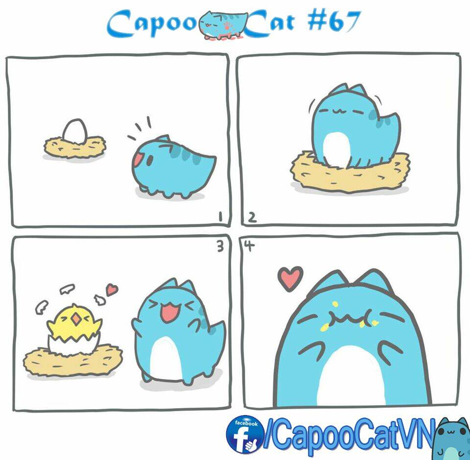 capoo cat chapter 7 7