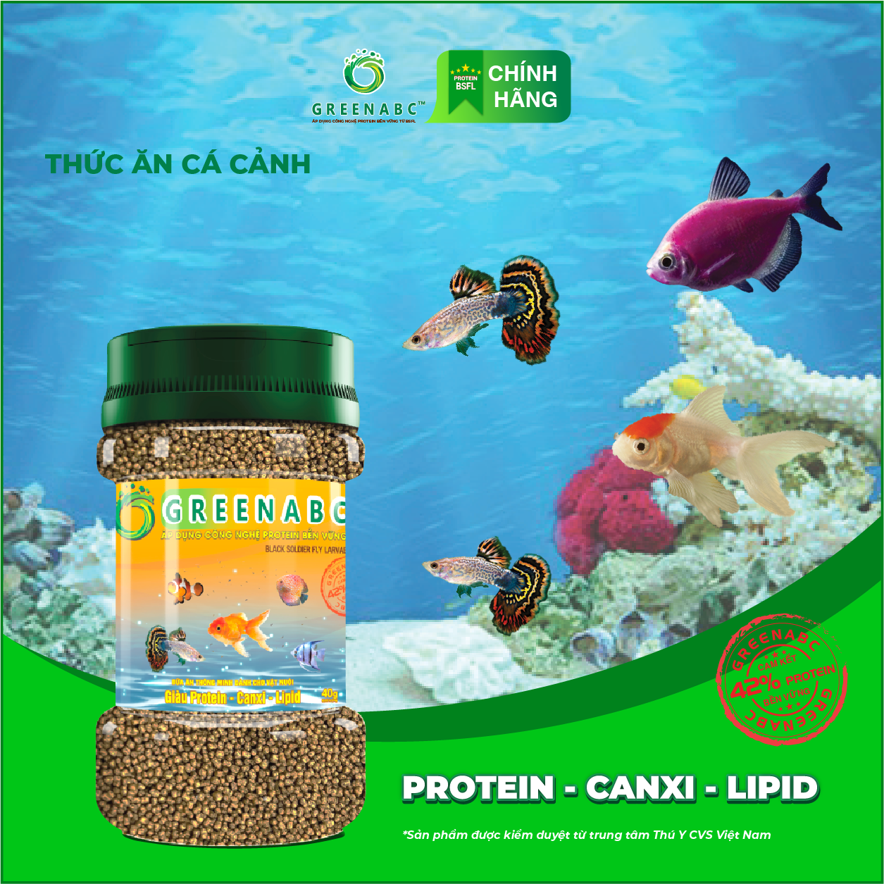 Thức ăn Cá Neon, Cánh Buồm, Molly, 7 màu, 3 đuôi ... GREENABC – Hàm lượng protein 42% cho năng lượng dồi dào, tiêu hóa tốt, tăng đề kháng, lên màu đẹp – Hộp 40g