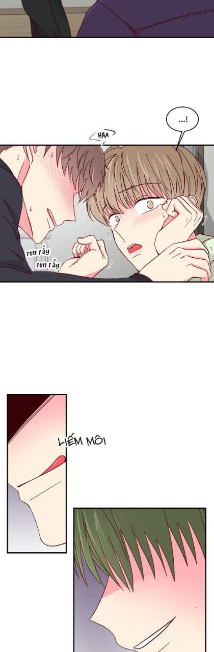 món tráng miệng của sếp tổng chapter 55 24