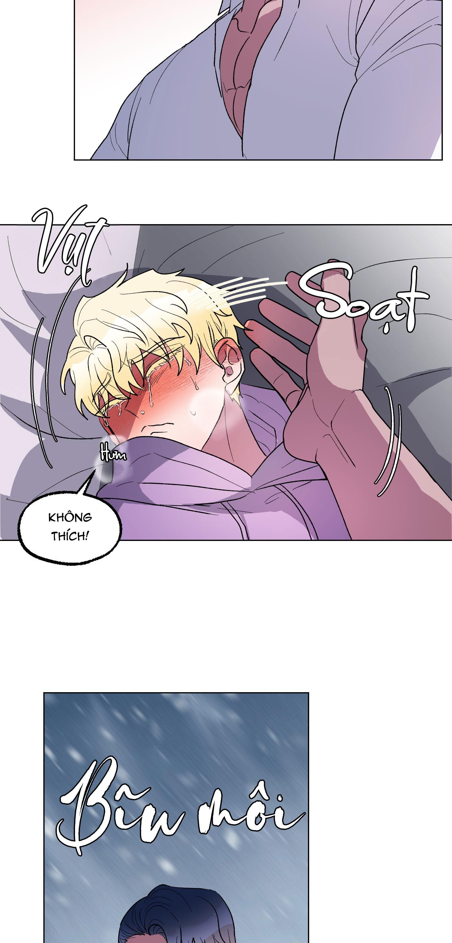 cá mập và cô dâu thỏ chapter 8 5