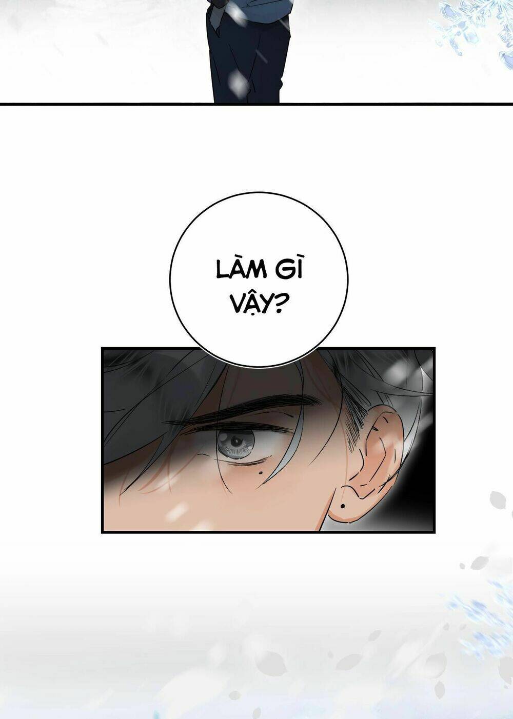 phù thủy hạng bét chapter 31 41