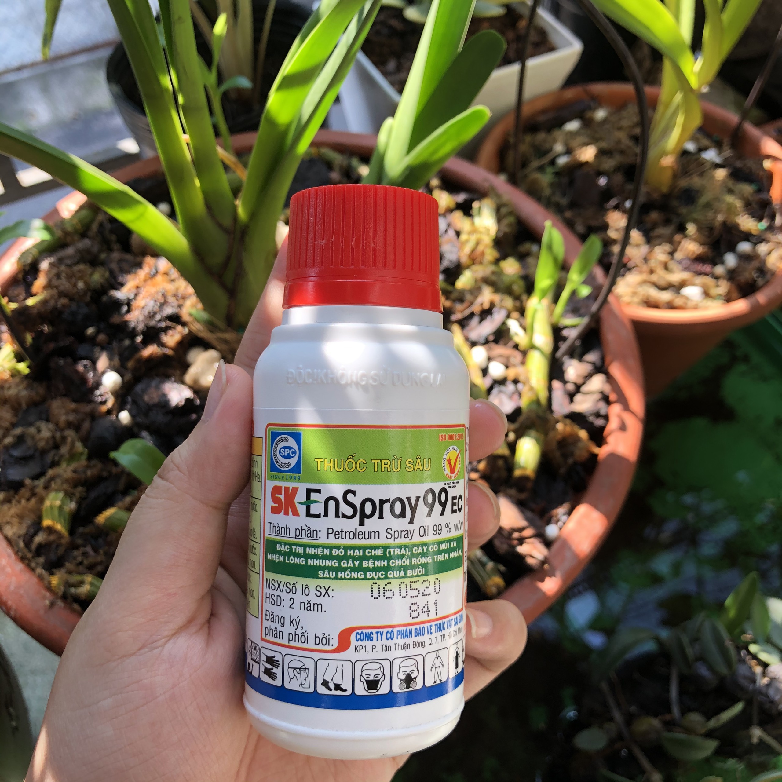 DẦU KHOÁNG SK EnSpray 99EC Đặc trị nhện đỏ cồn trùng