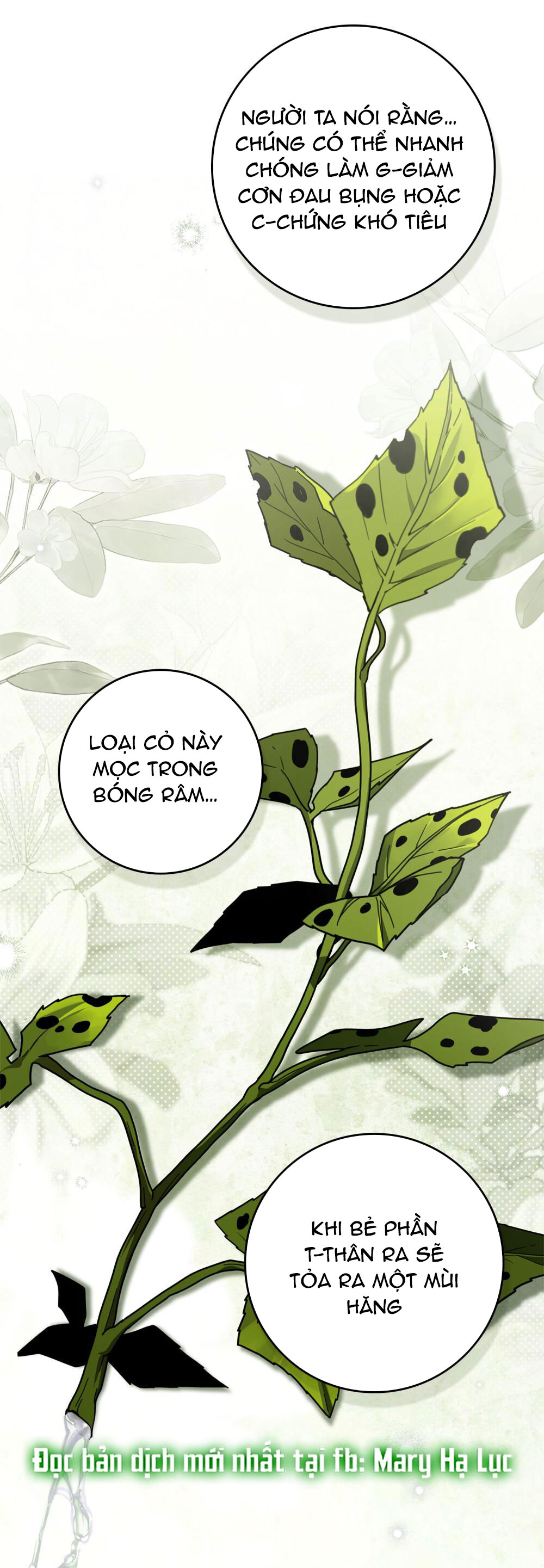 Dưới Bóng Cây Sồi chapter 117.1 6