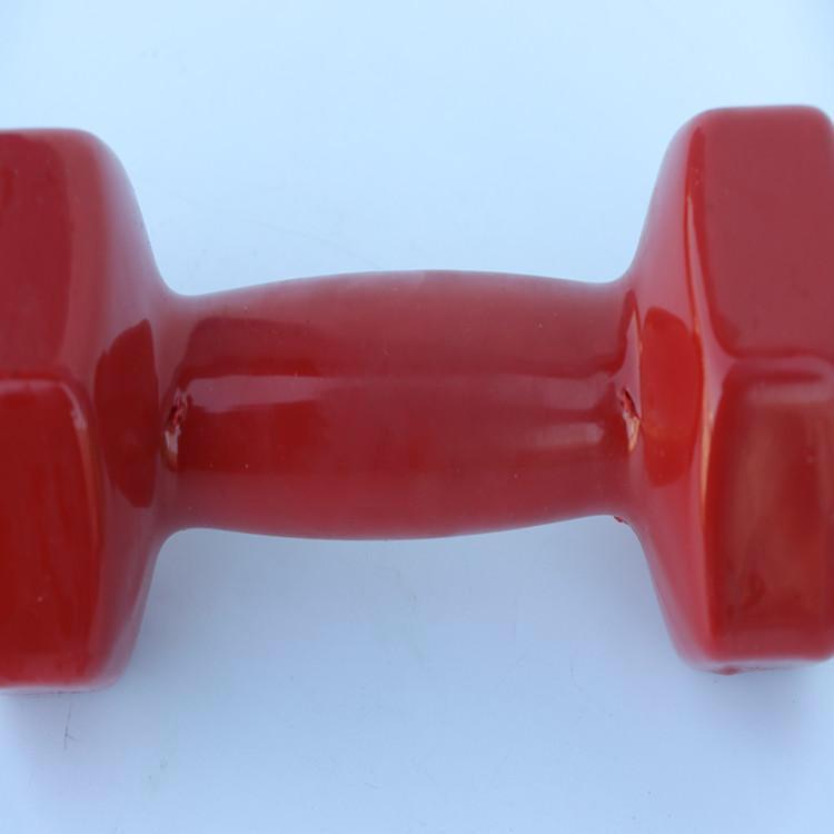 Bộ Tạ Tay Nữ 5kg Bọc Cao Su Tập Gym Màu Ngẫu Nhiên