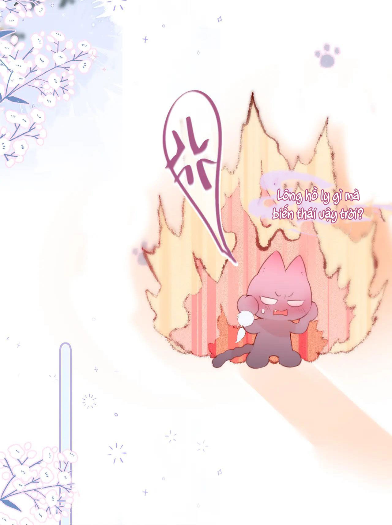 cạm bẫy của hồ ly chapter 37.1 15