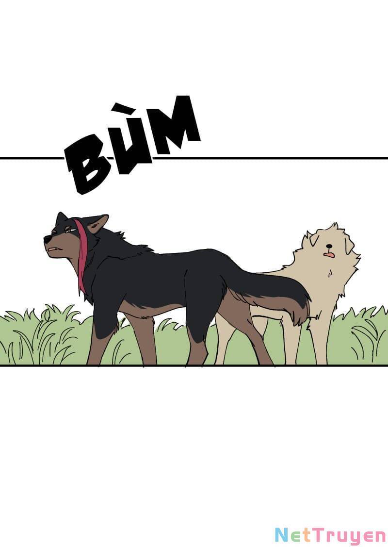 lumine - cội nguồn ánh sáng chapter 163 13