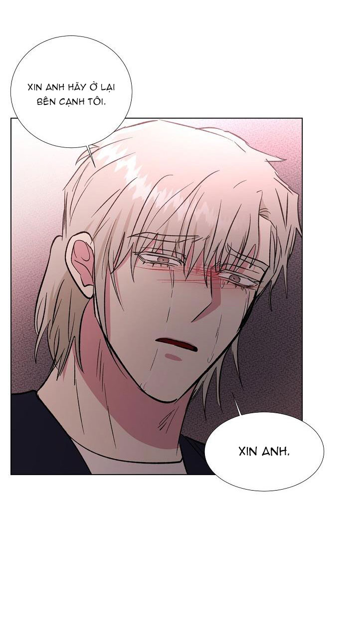 dưới đôi cánh ấy chapter 37 69