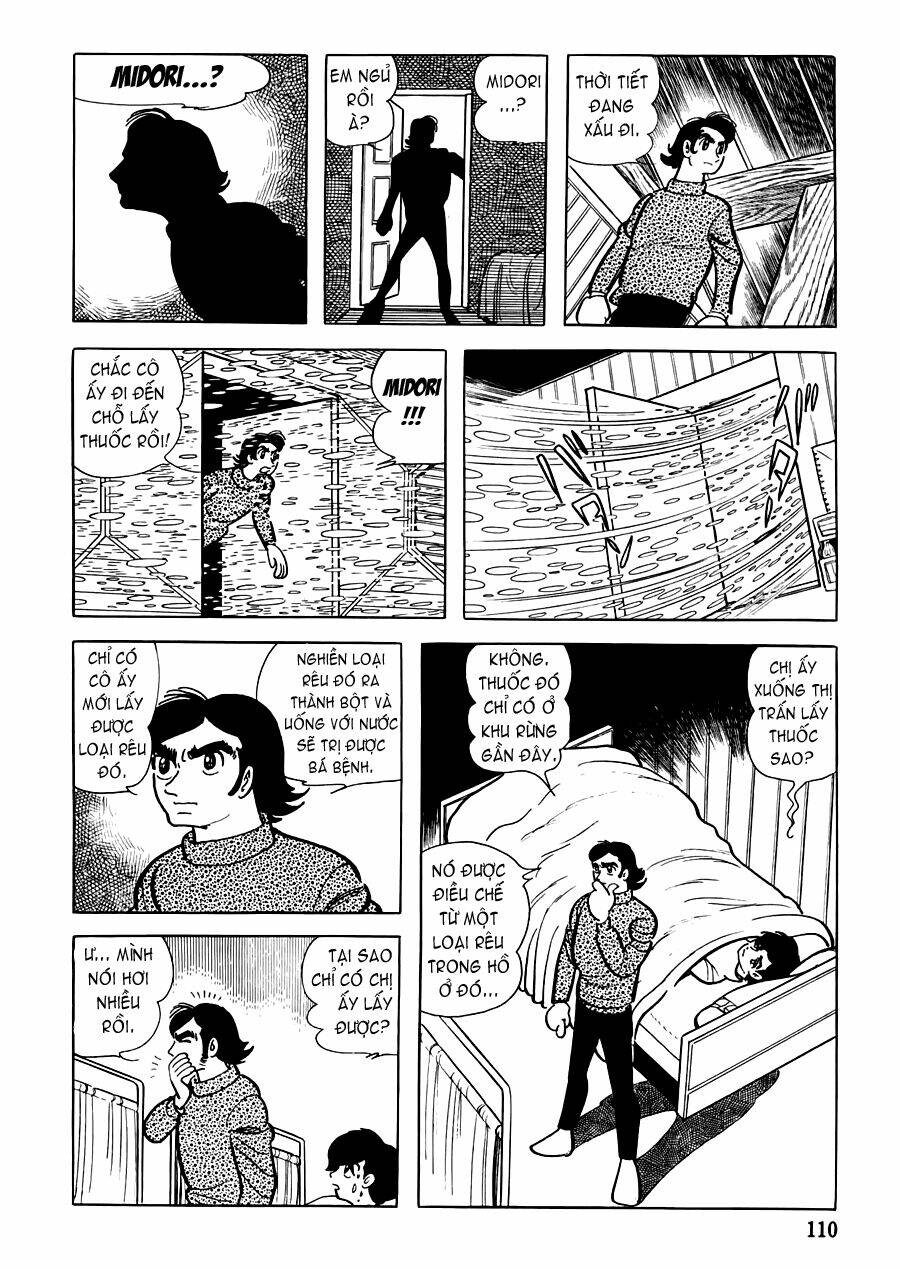 the crater chapter 14 14