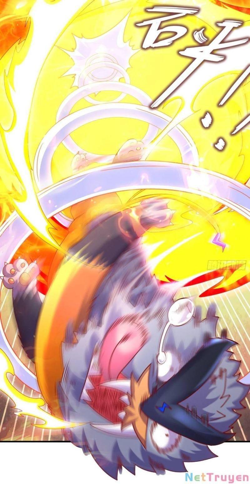 tuyệt sắc đạo lữ đều nói ngô hoàng có thể chất vô địch chapter 12 27