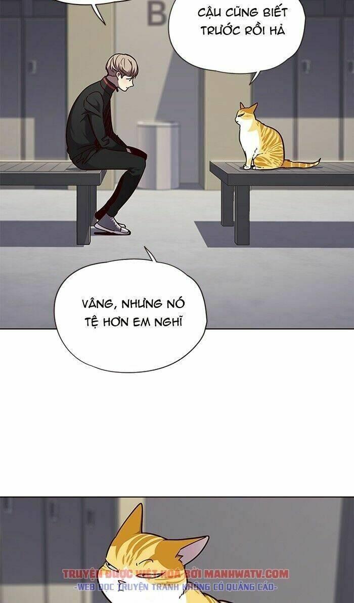 biến thân thành mèo chapter 63 40