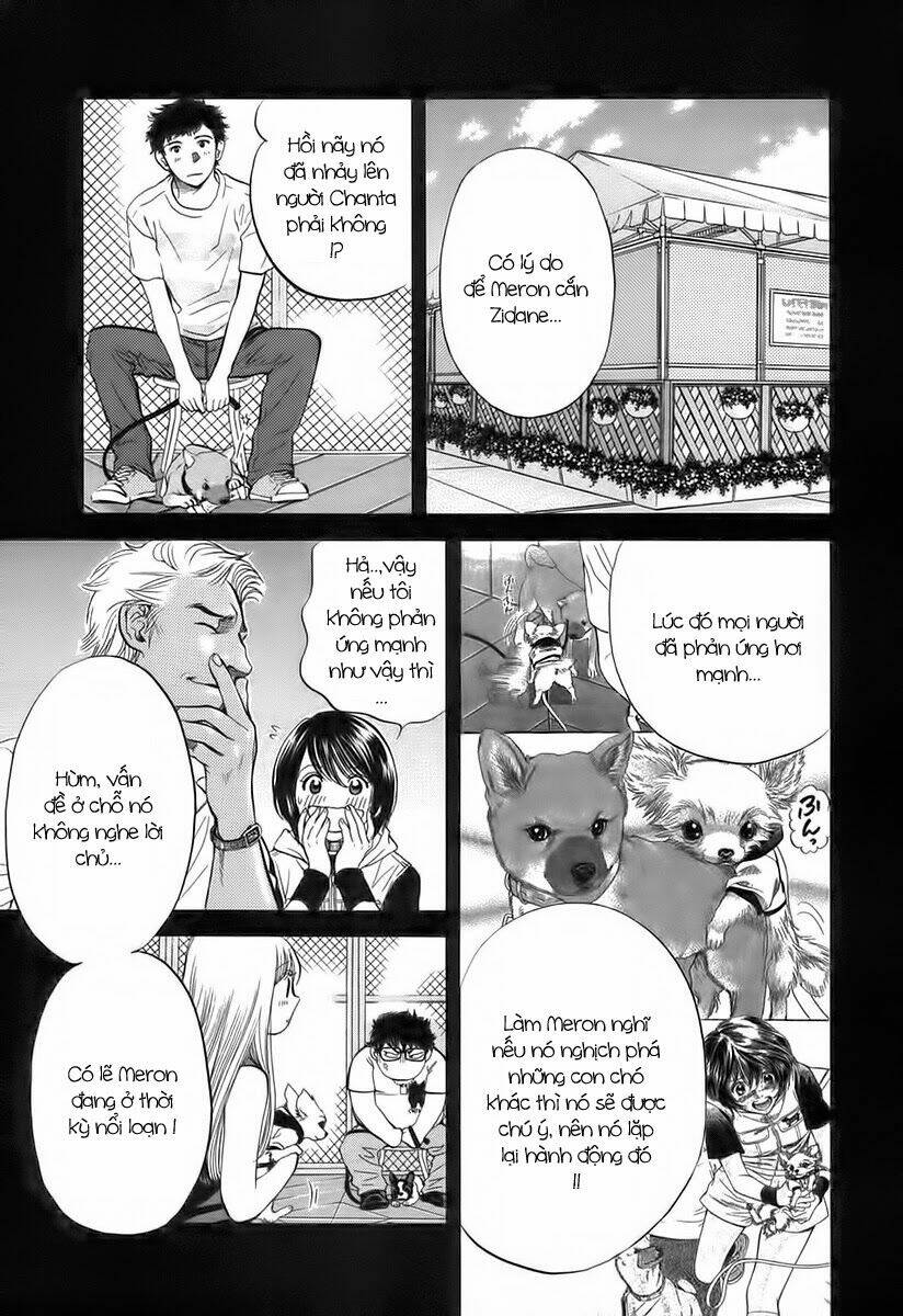 cô nàng yêu chó chapter 37 13