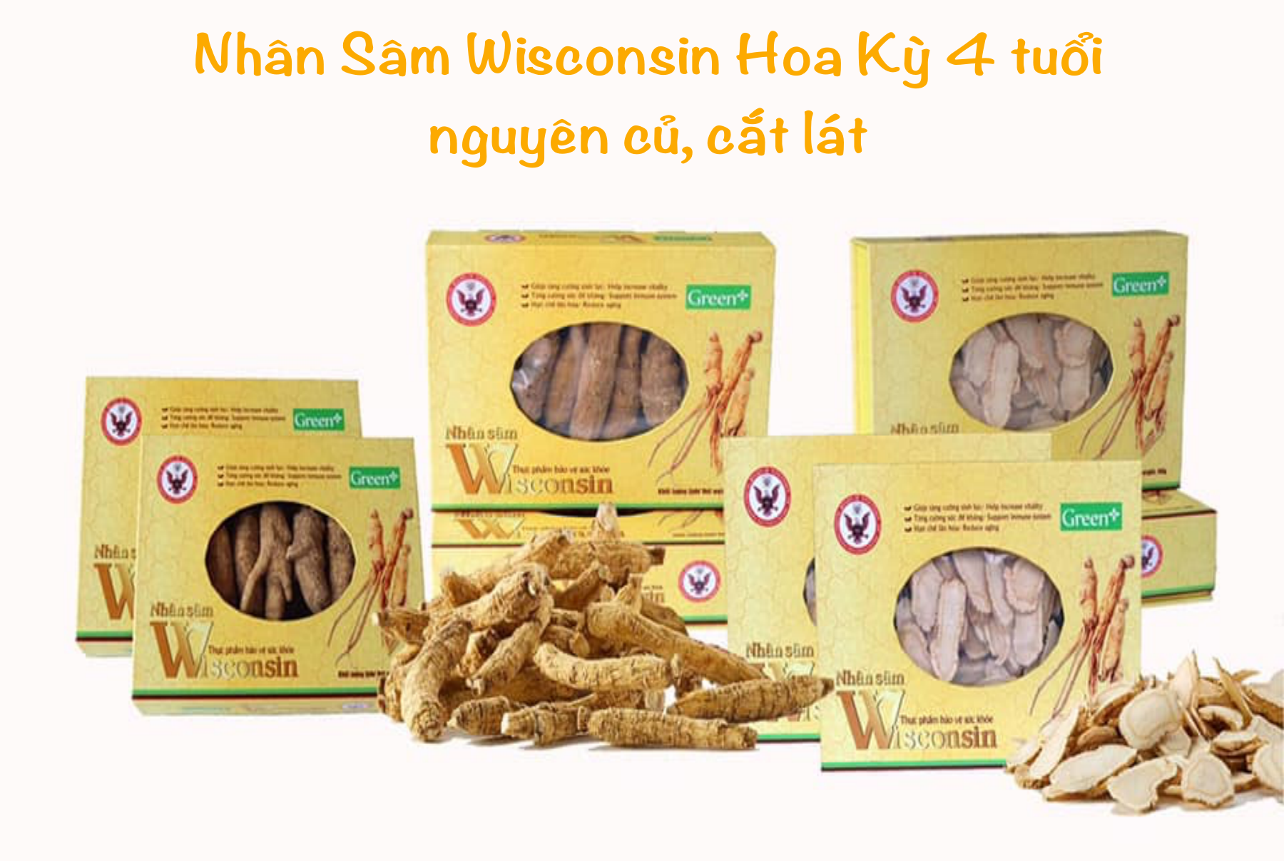 Nhân Sâm Wisconsin Hoa Kỳ Cắt Lát 50g, 100g: Bồi Bổ Sức Khỏe, Tăng Sức Đề Kháng, Điều Hòa Lipid Máu.