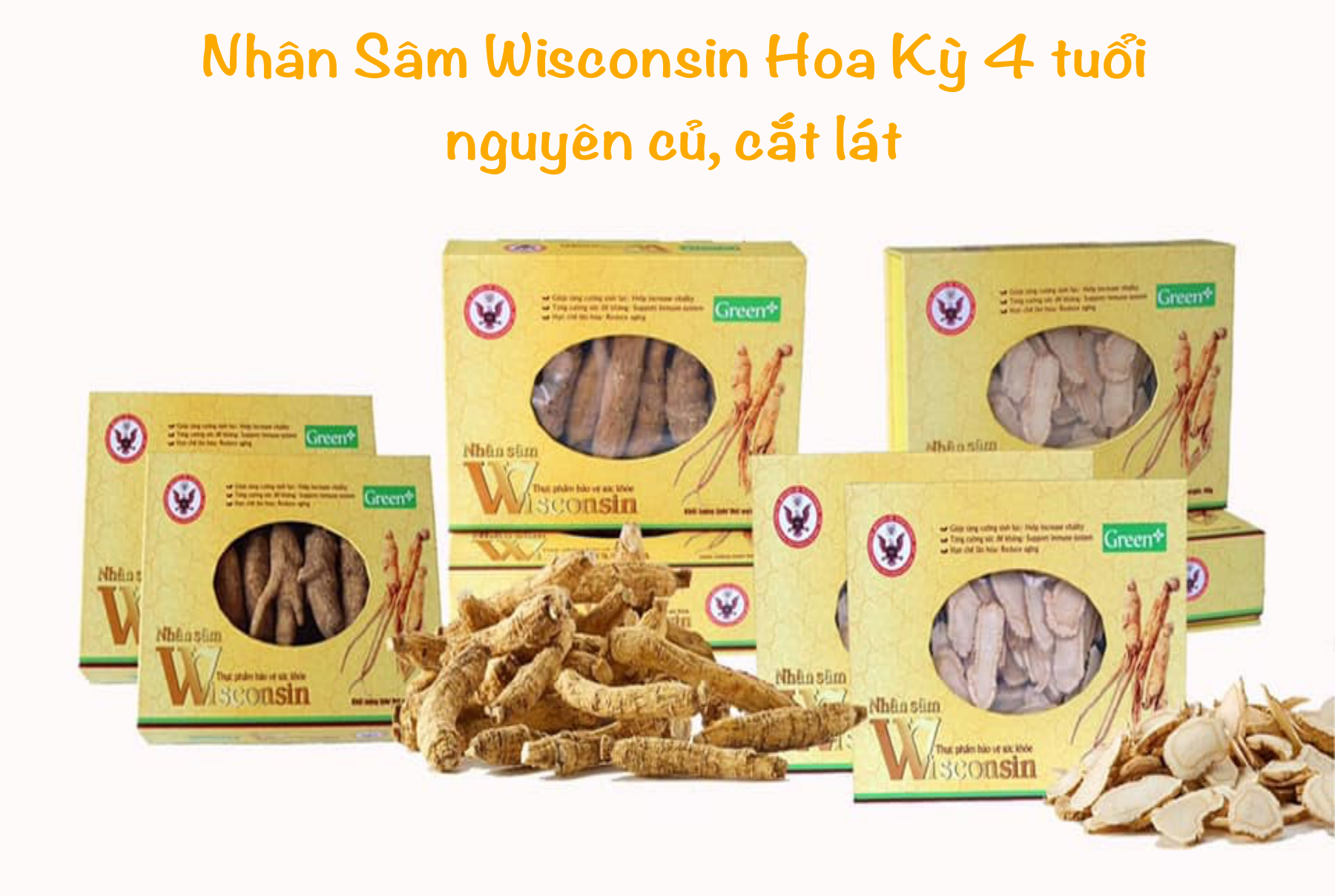 Nhân Sâm Wisconsin Hoa Kỳ (Sâm Mỹ) Cắt Lát 50g, 100g: Bồi Bổ Sức Khỏe, Tăng Sức Đề Kháng, Điều Hòa Lipid Máu.