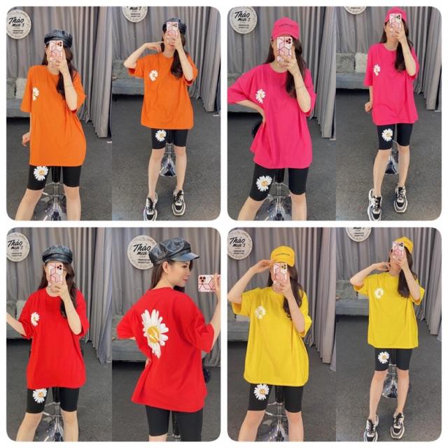 Bộ lửng hoa cúc siêu êu