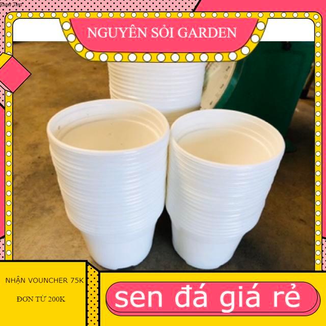10 Chậu nhựa 10cm