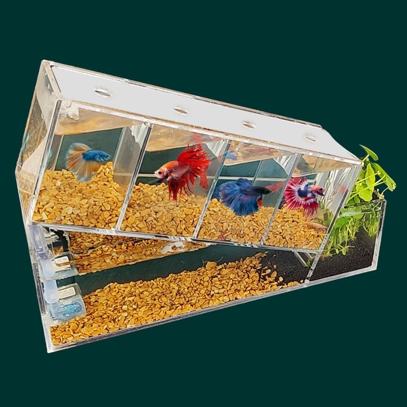 Bể Cá Xô Sáng Tạo Bể Cá Nhỏ Acrylic Để Bàn Đa Ngăn Cách Ly Tự Tuần Hoàn Lọc Không Thay Nước Bể Sinh Thái