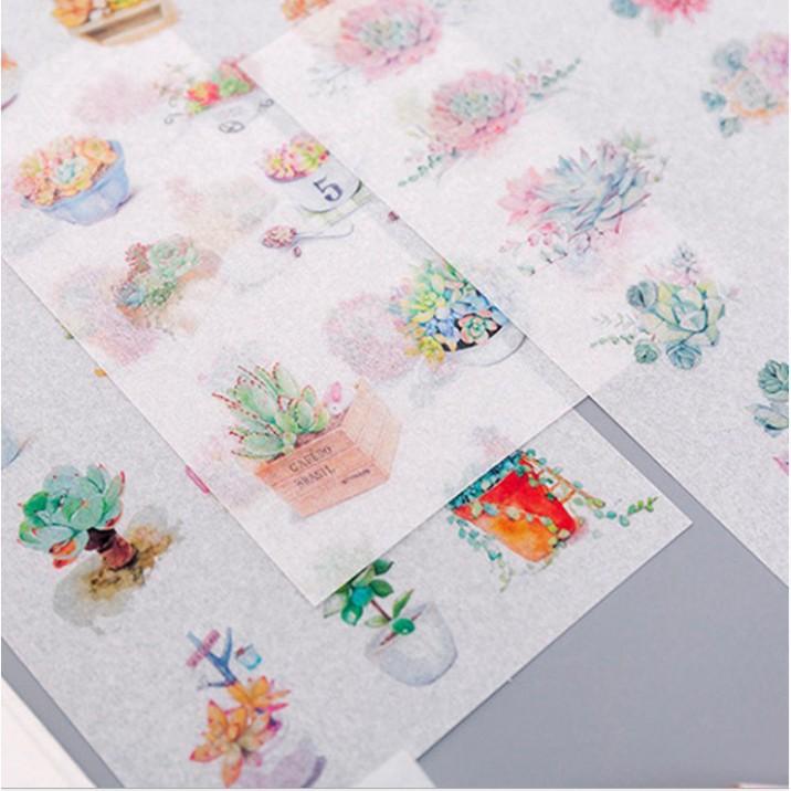 Set 6 tập sticker trang trí cây xương rồng Cantus