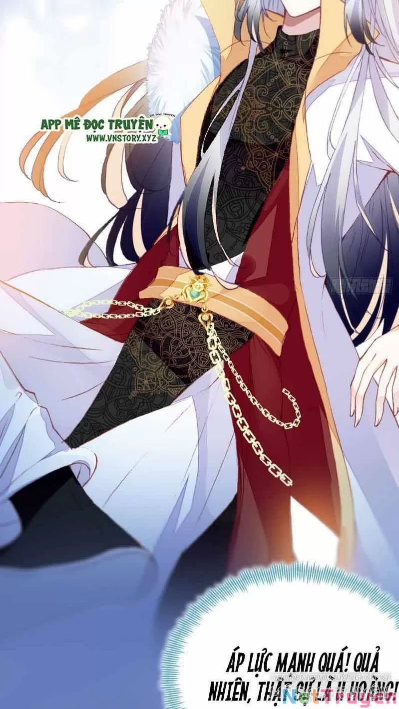 lại bị bệnh chiều chuộng quấn lấy chapter 1 41