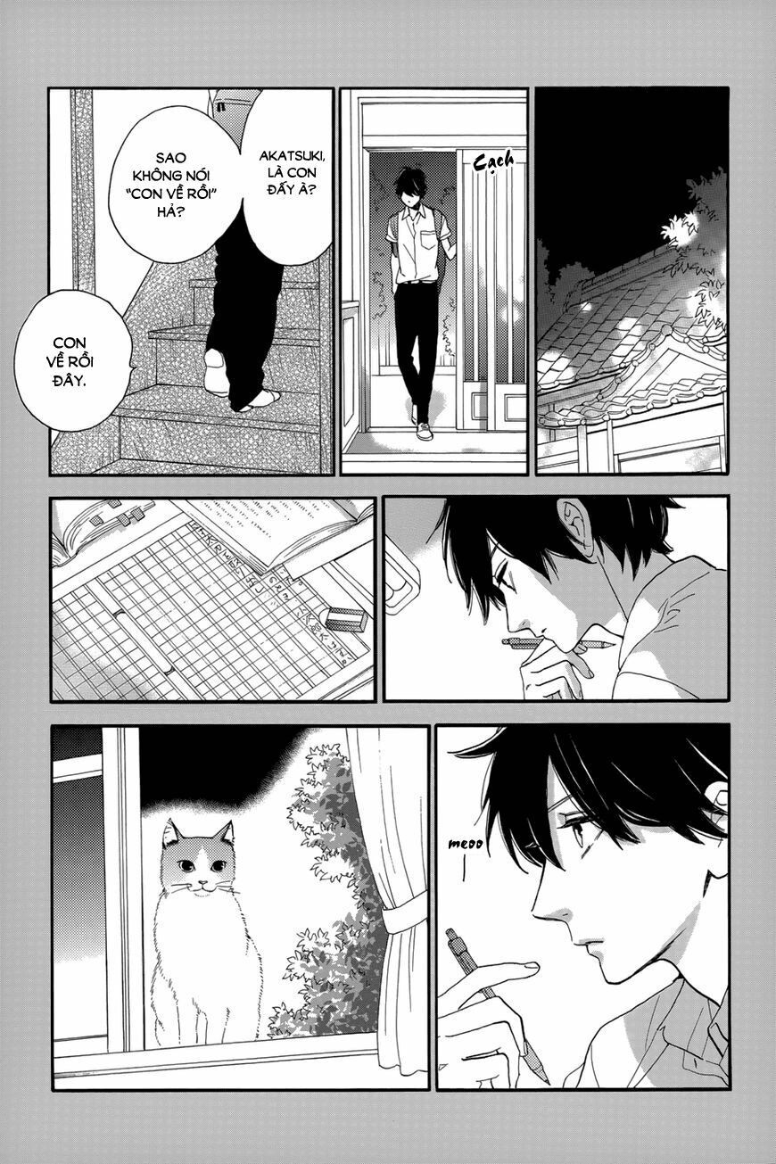 những đóa sơn trà kia, sẽ vì em mà đơm hoa khoe sắc chapter 29 8