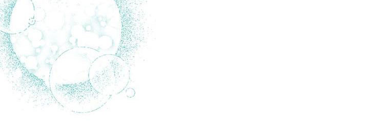 công chúa của loài chim chapter 50.1 278