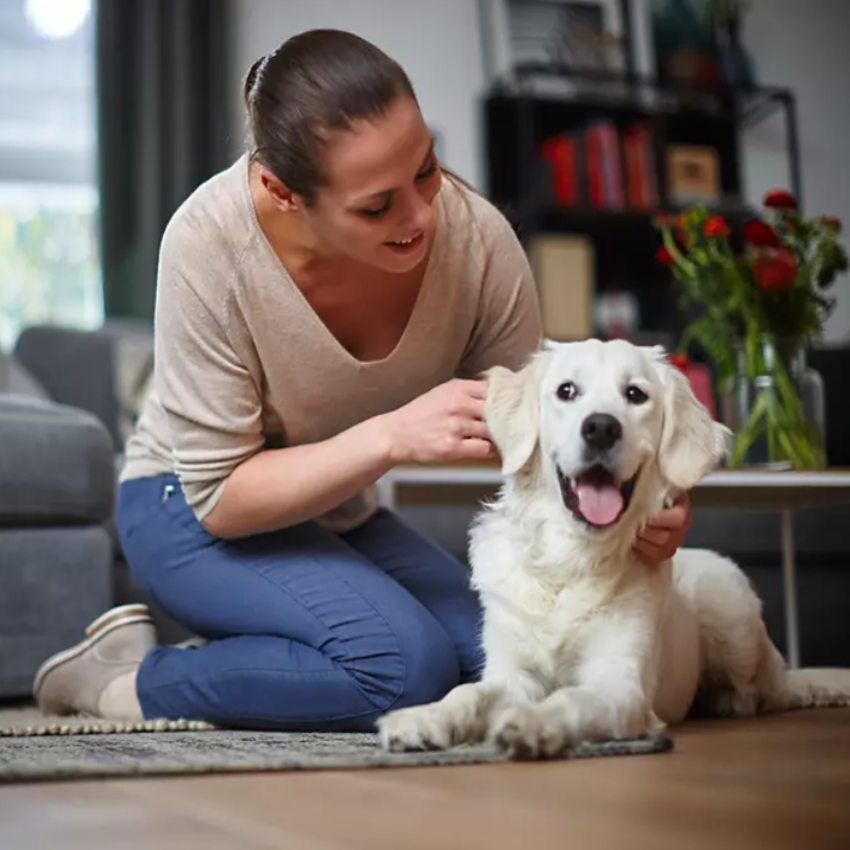 Máy hút bụi không túi PowerPro Compact thương hiệu Hà Lan Philips FC9351/82 1600W - Hàng nhập khẩu