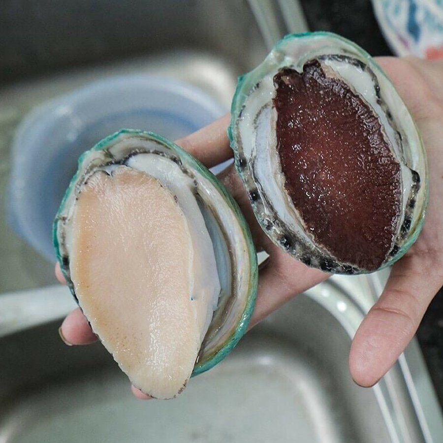 Bào ngư Úc viền xanh - 1kg