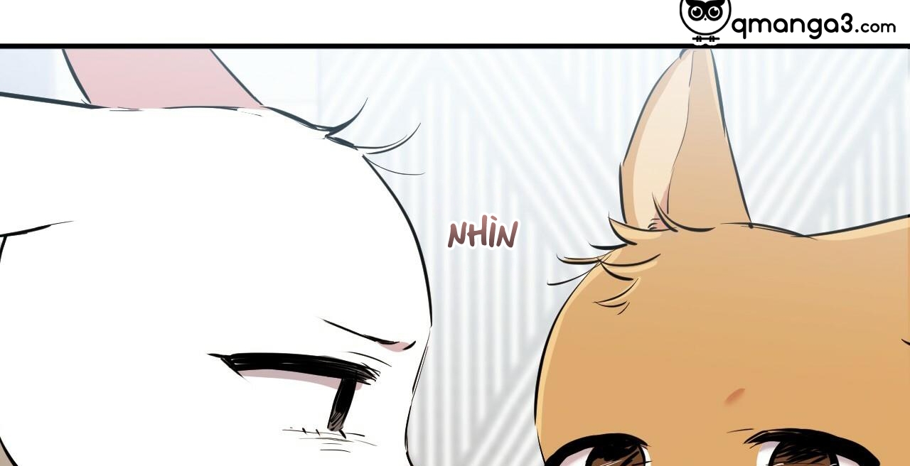 đàn thỏ của habibi chapter 36 81