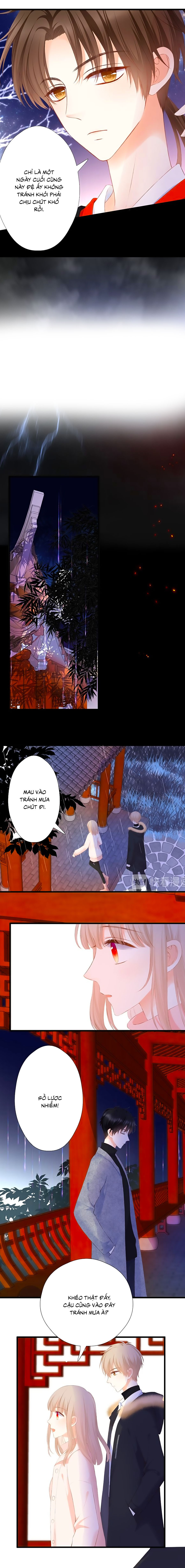 đóa hoa chớm nở chapter 56 2