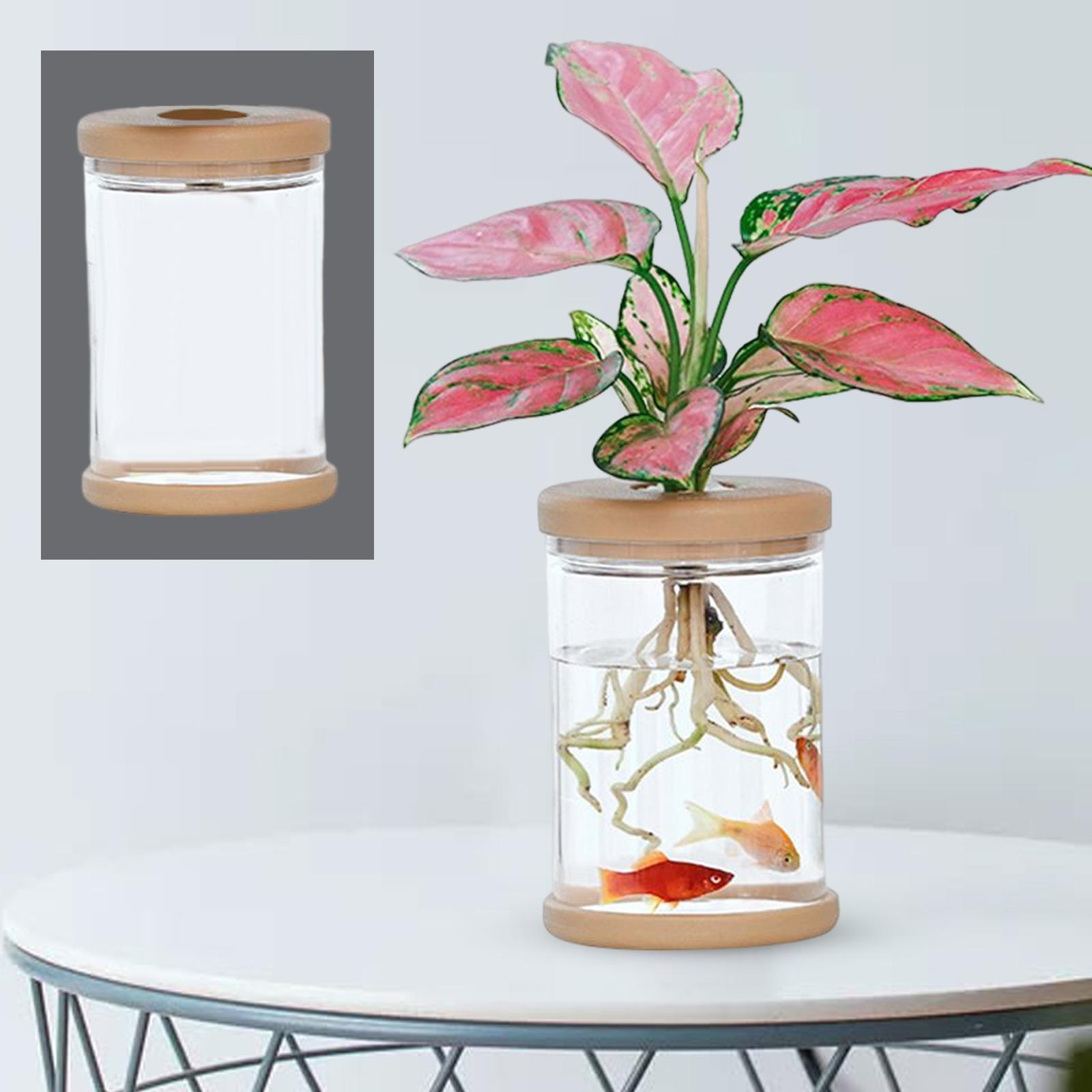 Tabletop   bookshelf ornament gift 9cmx12.8cm