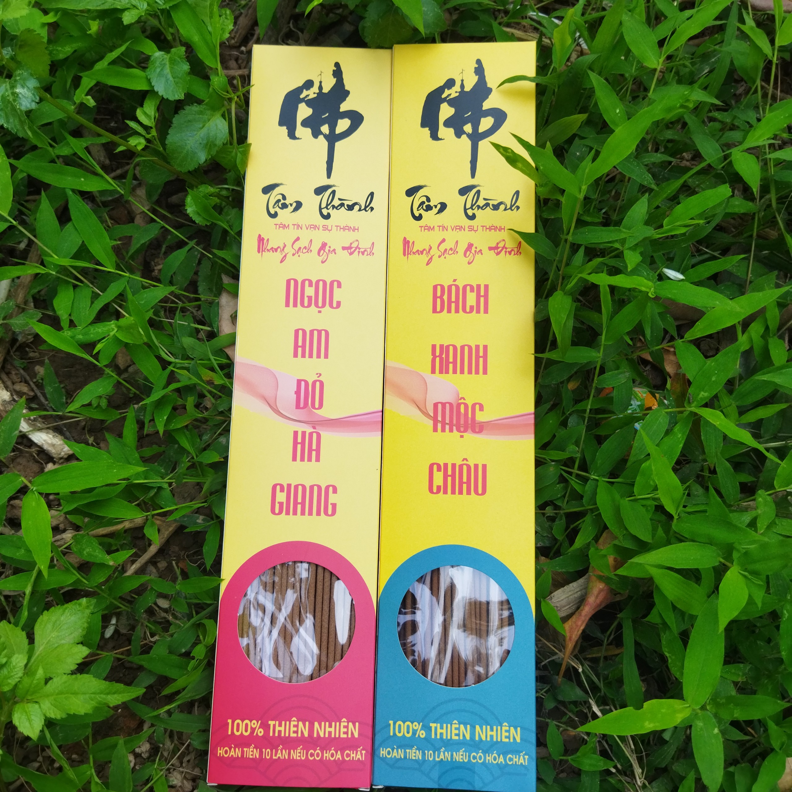 Hương Hoàng_Đàn Tuyết Lạng Sơn_Nhang Hoàng_Đàn_Nhang Bách_Xanh_Nhang Ngọc_Am_Cam Kết 100% Không Hóa Chất.