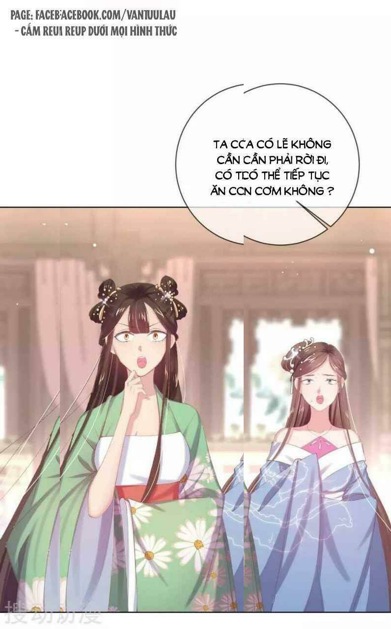 thị huyết y phi chapter 45 48