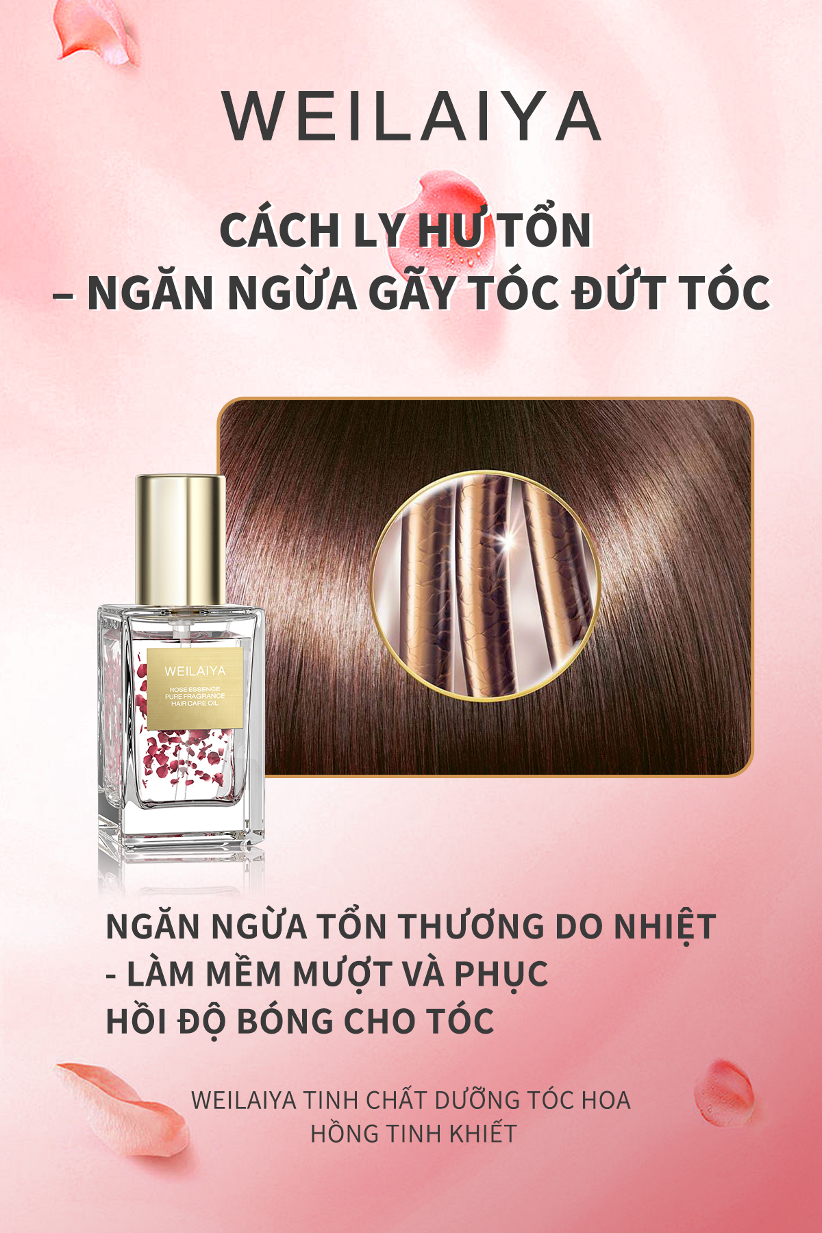 Tinh dầu dưỡng tóc WEILAIYA chiết xuất cánh hoa hồng phục hồi tóc hư tổn, giảm sơ rối, chẻ ngọn, không gây bết dính