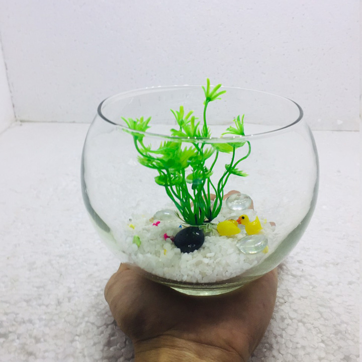Bể cá mini để bàn tròn có phụ kiện
