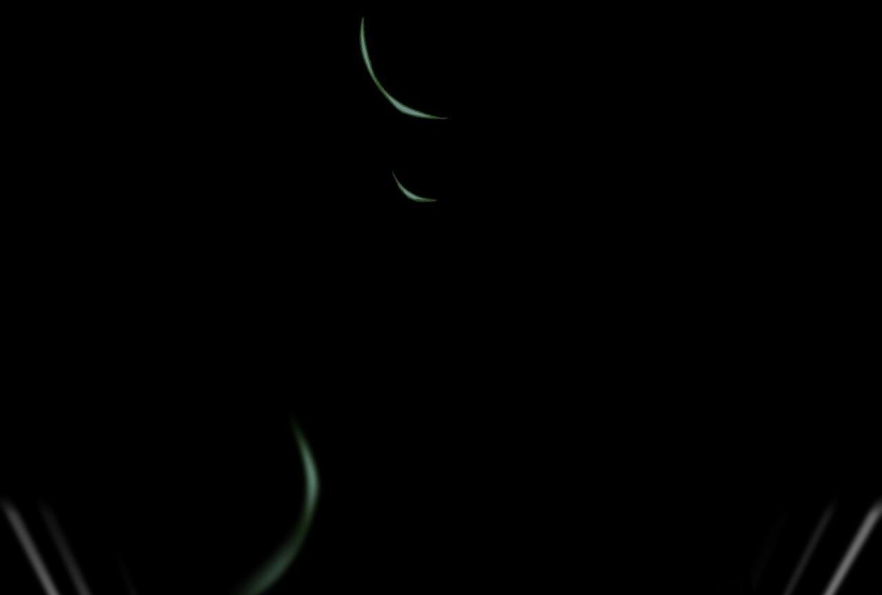 những chú thỏ của hapypy chapter 61 243