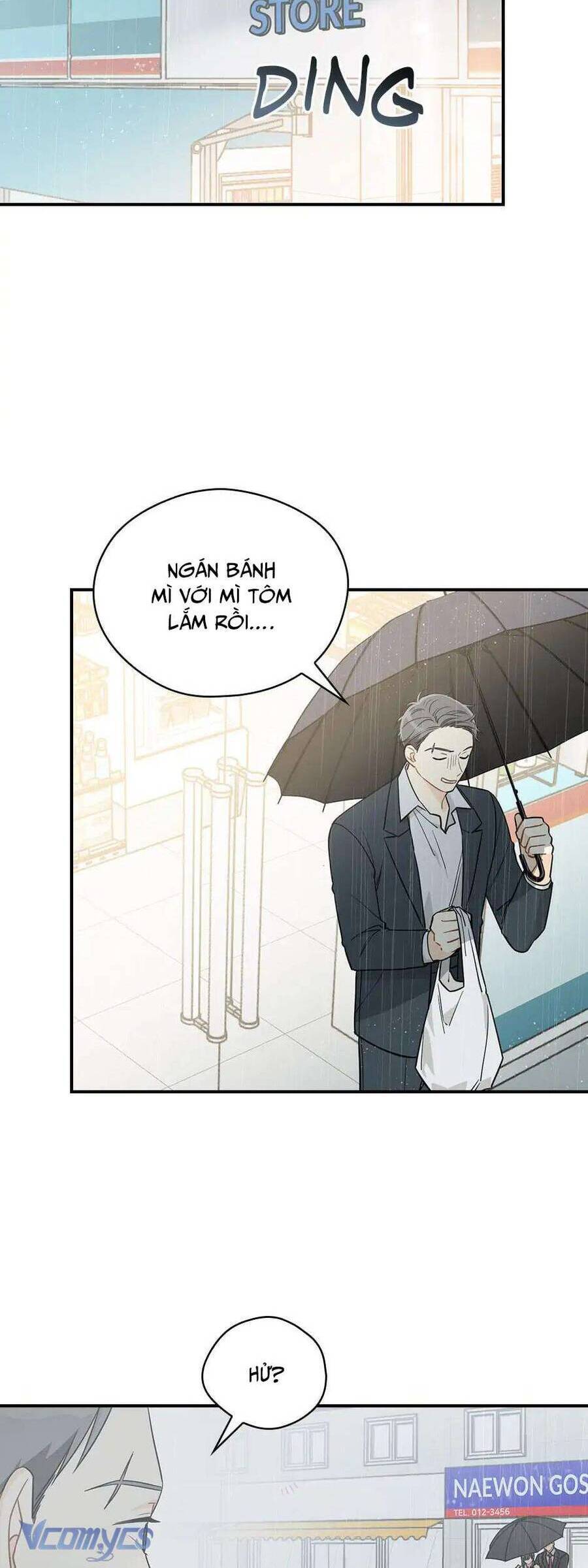 ly espresso của mùa xuân chapter 55 13