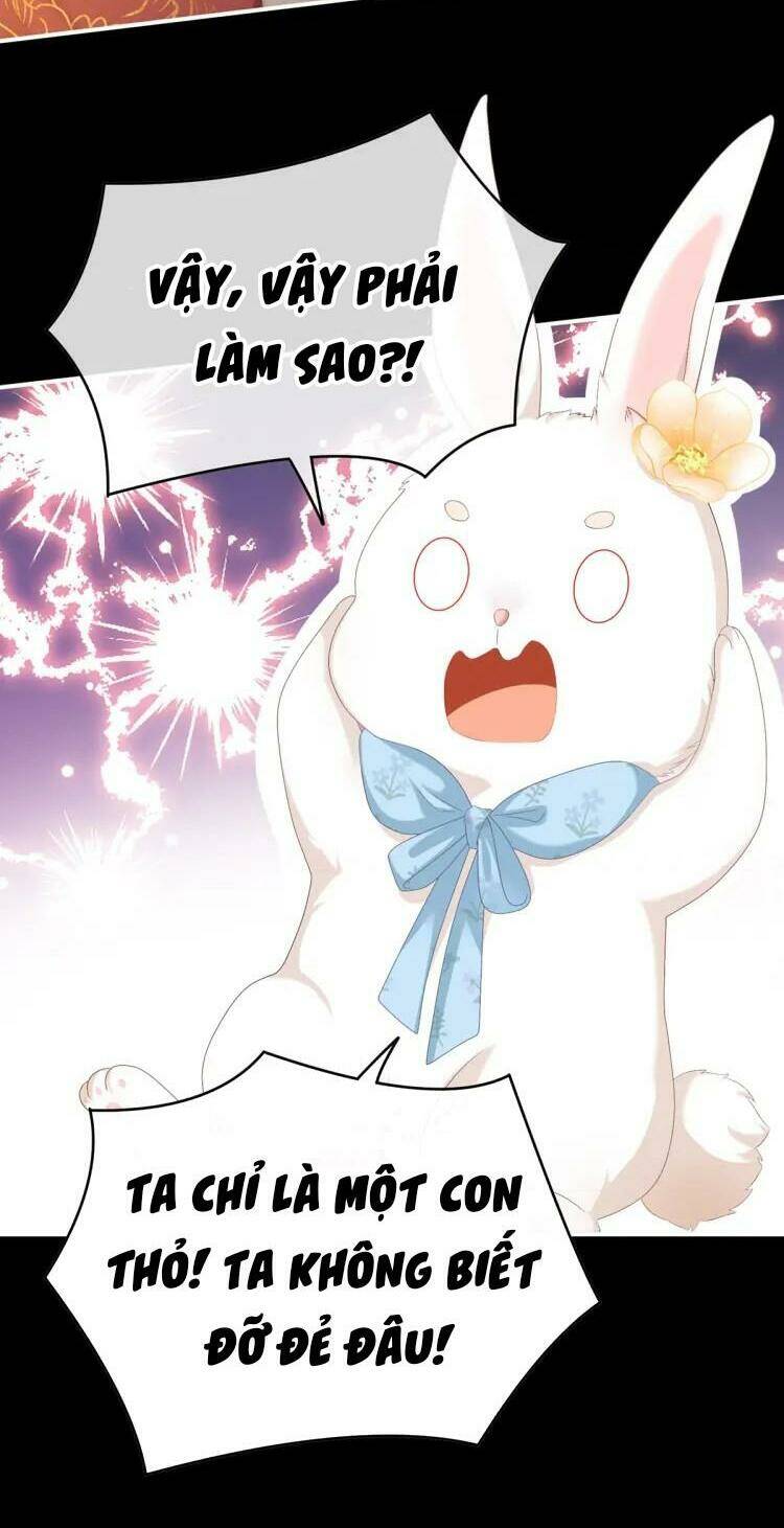 kiều phu có hỉ chapter 58 6