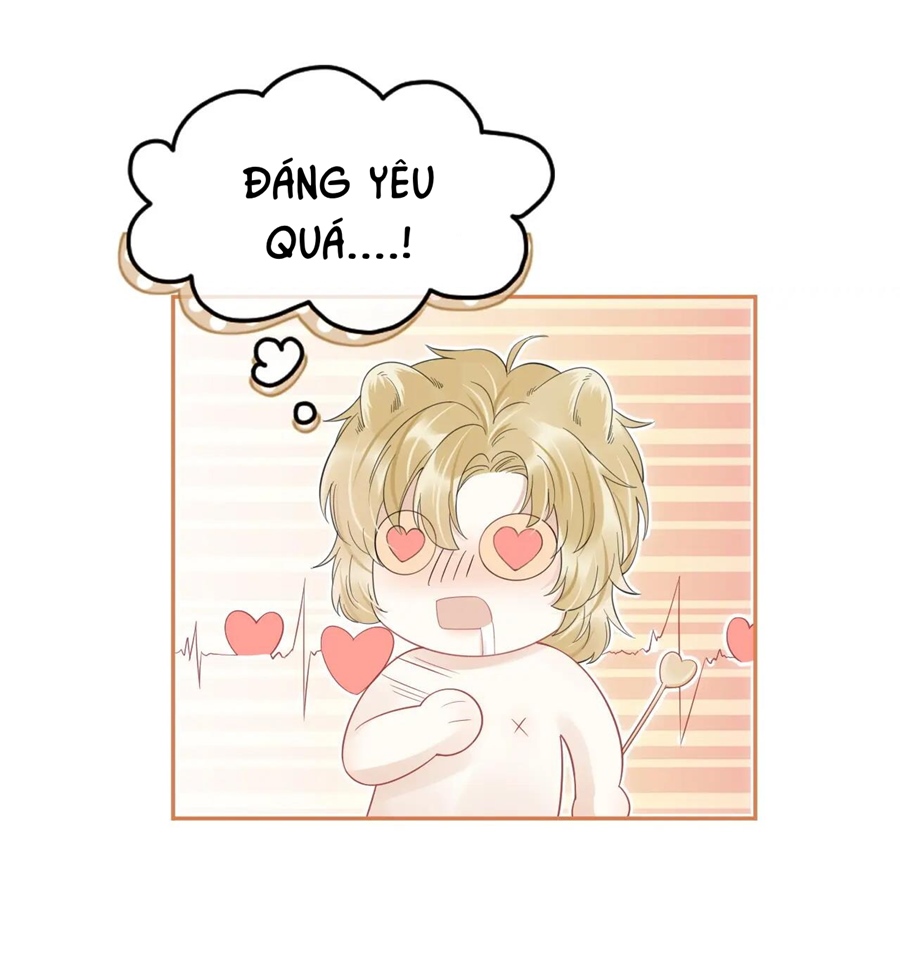 ăn một bé thỏ chapter 39 16